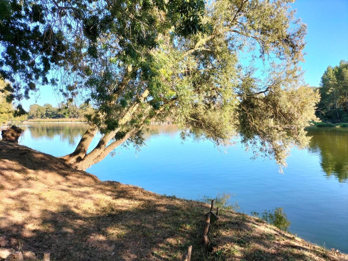 Homestay - Rochebonne Tours